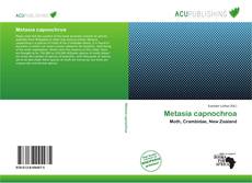 Copertina di Metasia capnochroa