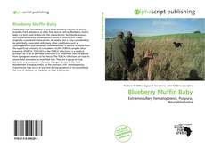 Borítókép a  Blueberry Muffin Baby - hoz