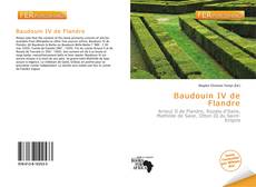 Bookcover of Baudouin IV de Flandre