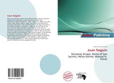 Juan Seguín kitap kapağı