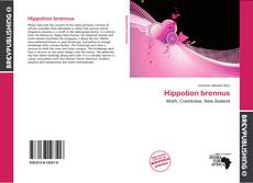 Buchcover von Hippotion brennus