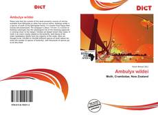 Обложка Ambulyx wildei