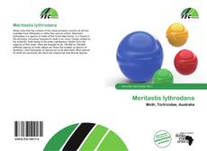 Couverture de Meritastis lythrodana
