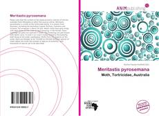 Couverture de Meritastis pyrosemana