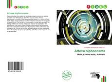 Couverture de Atteva niphocosma