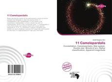 Buchcover von 11 Camelopardalis