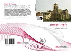 Buchcover von Siège de Termes