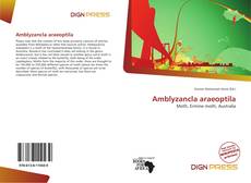 Amblyzancla araeoptila的封面