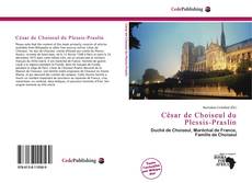 Buchcover von César de Choiseul du Plessis-Praslin