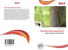 Обложка Anavitrinella pampinaria