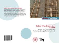 Couverture de Kedzie (CTA Brown Line Station)