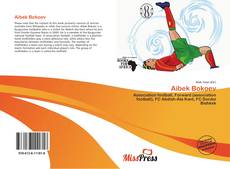 Обложка Aibek Bokoev