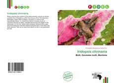 Обложка Iridopsis clivinaria