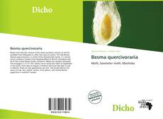 Buchcover von Besma quercivoraria