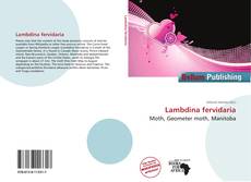 Portada del libro de Lambdina fervidaria