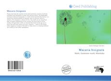 Buchcover von Macaria bisignata