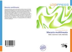 Copertina di Macaria multilineata