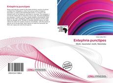Buchcover von Entephria punctipes