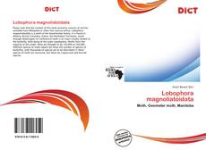 Обложка Lobophora magnoliatoidata