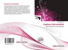 Buchcover von Euphyia intermediata