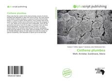 Borítókép a  Cisthene plumbea - hoz