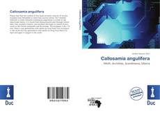 Bookcover of Callosamia angulifera