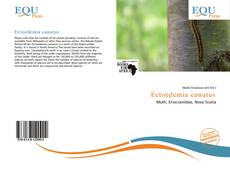 Borítókép a  Ectoedemia canutus - hoz