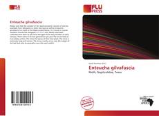 Bookcover of Enteucha gilvafascia