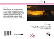 Capa do livro de Bohicon 