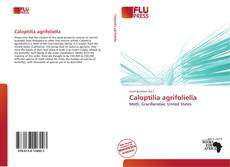 Bookcover of Caloptilia agrifoliella