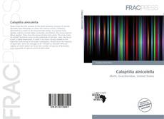 Caloptilia alnicolella的封面