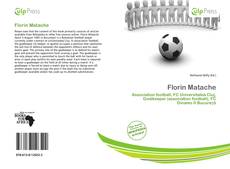 Bookcover of Florin Matache