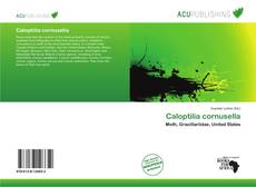 Copertina di Caloptilia cornusella