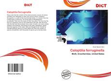 Caloptilia ferruginella kitap kapağı