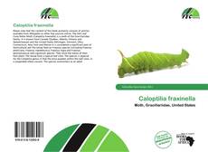 Borítókép a  Caloptilia fraxinella - hoz