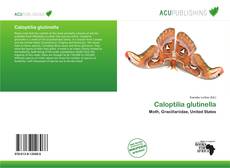 Copertina di Caloptilia glutinella
