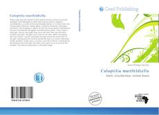 Bookcover of Caloptilia murtfeldtella
