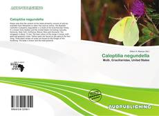 Portada del libro de Caloptilia negundella