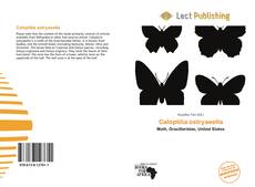 Caloptilia ostryaeella的封面