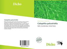 Portada del libro de Caloptilia palustriella
