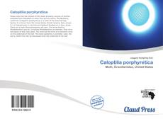 Caloptilia porphyretica的封面