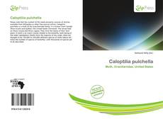 Caloptilia pulchella kitap kapağı