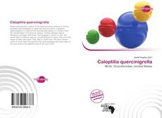 Bookcover of Caloptilia quercinigrella