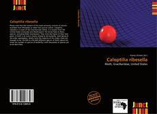 Copertina di Caloptilia ribesella