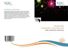 Copertina di Caloptilia sassafrasella