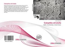 Caloptilia strictella的封面