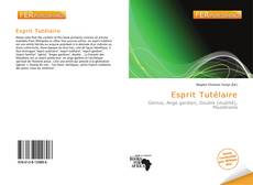 Bookcover of Esprit Tutélaire