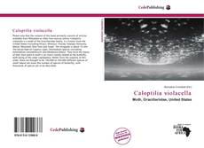 Buchcover von Caloptilia violacella