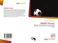 Mădălin Murgan的封面