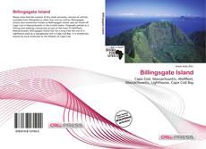 Billingsgate Island的封面